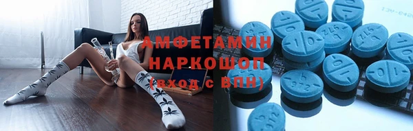 шишки Верея