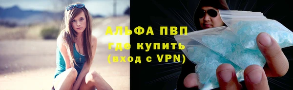 шишки Верея