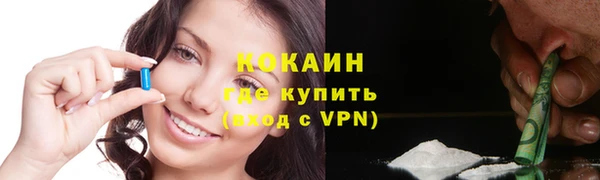 шишки Верея