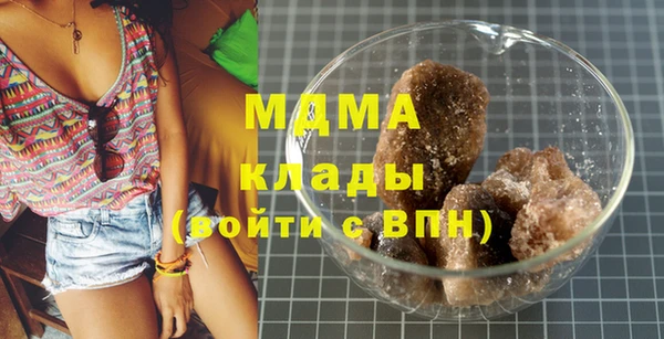 шишки Верея