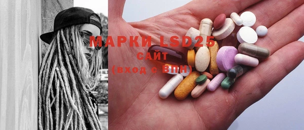 шишки Верея