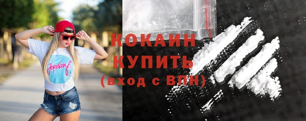 шишки Верея