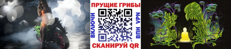 Псилоцибиновые грибы Cubensis  Купить где  Рудня 