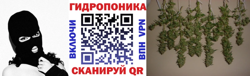 Конопля Bruce Banner  Купить где  Рудня 